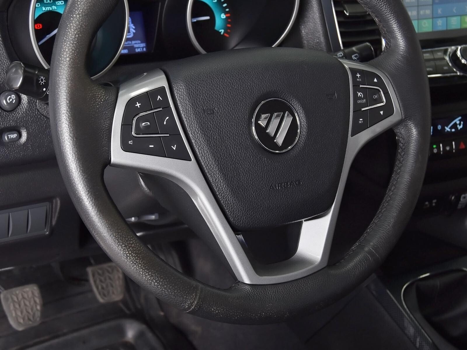 Foton Sauvana 2019